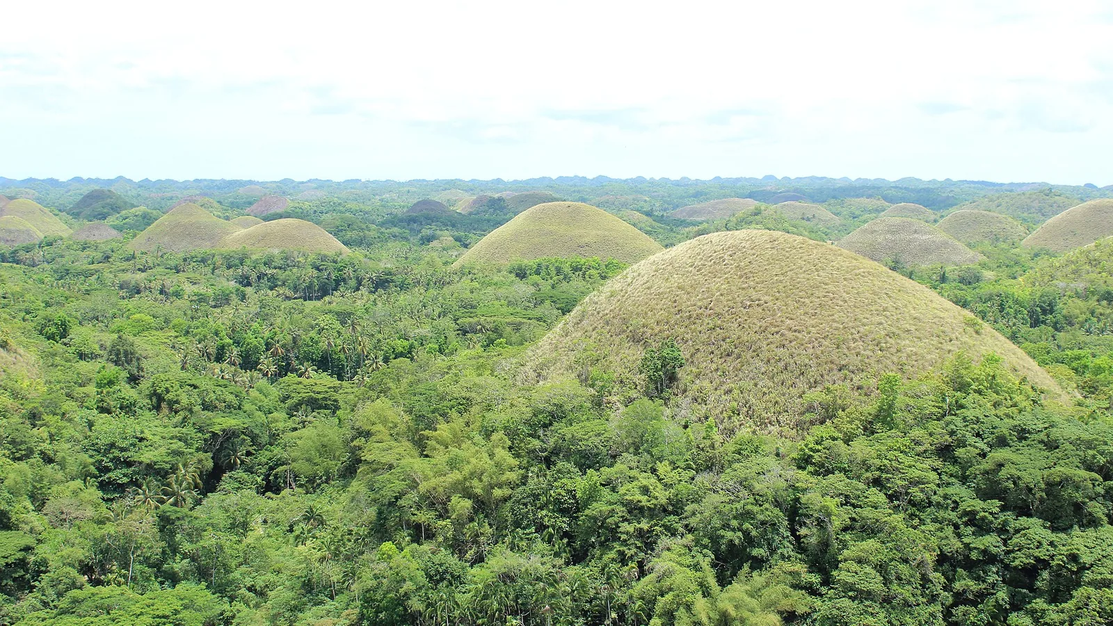 Bohol