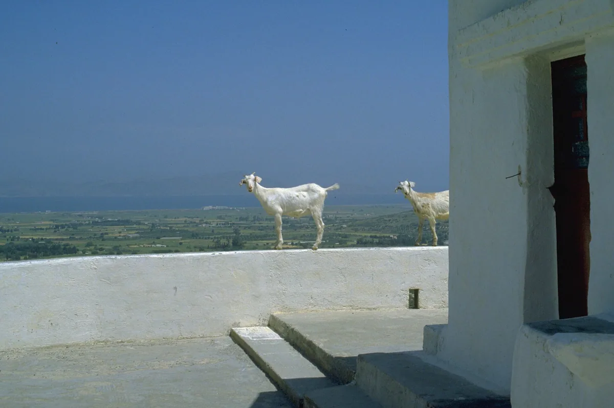 Samos to Kos