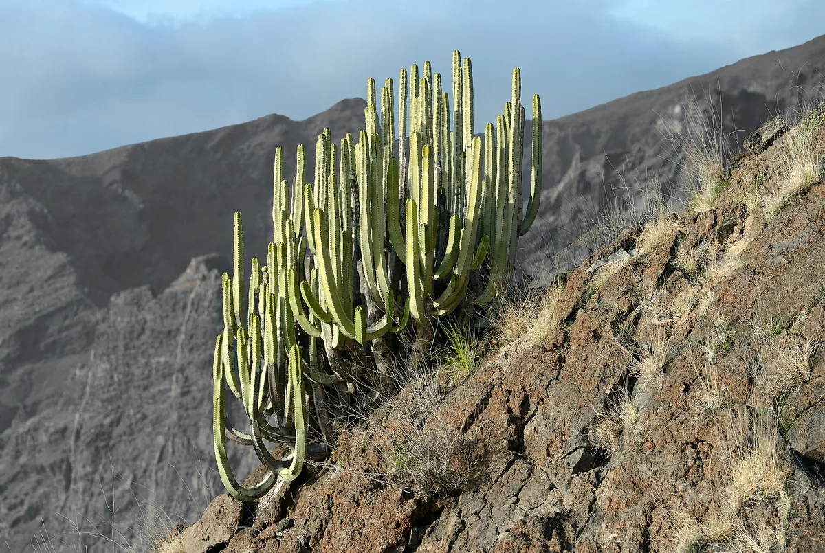 Island Hopping the Canary Islands by Ferry