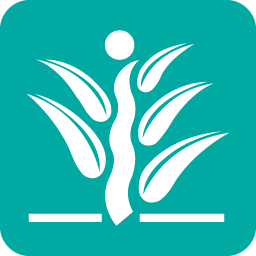Raymond Island Ferry logo