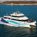 Vineyard Fast Ferry logo