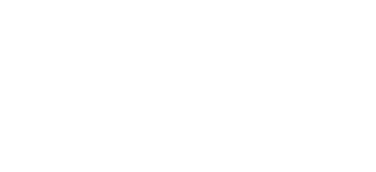 Wasaline logo