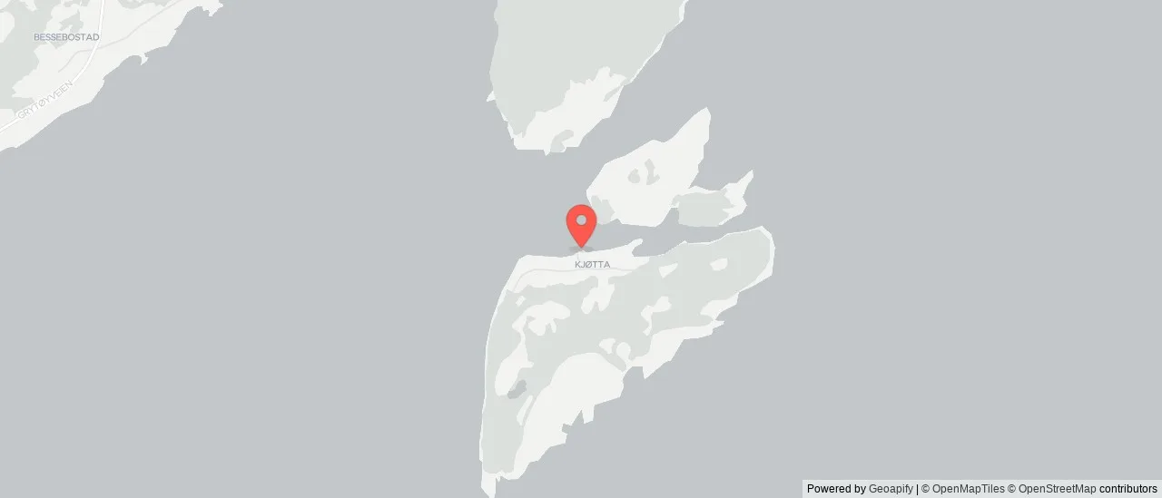 Kjøtta