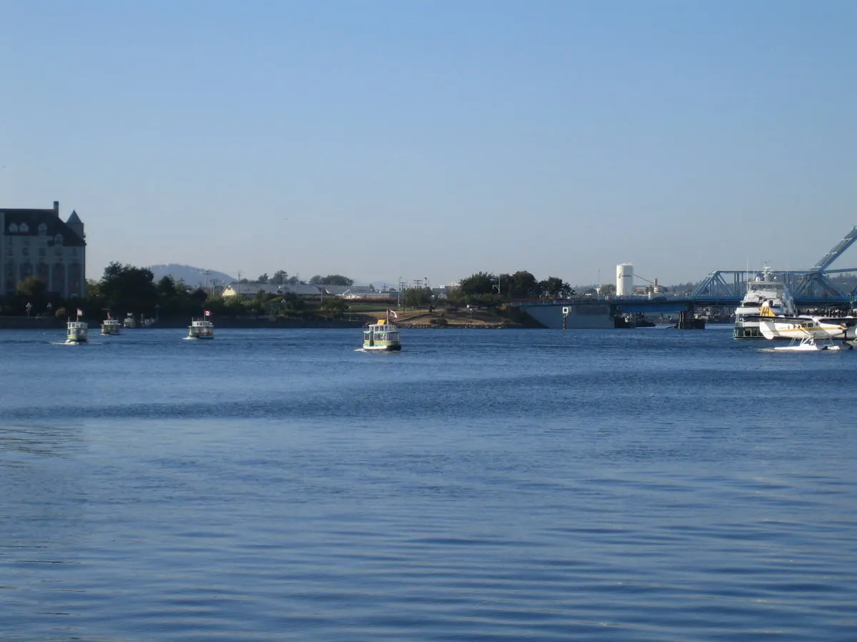 Victoria (arrive 20 min ahead for customs clearance) to Port Angeles (arrive 20 min ahead for customs clearance)